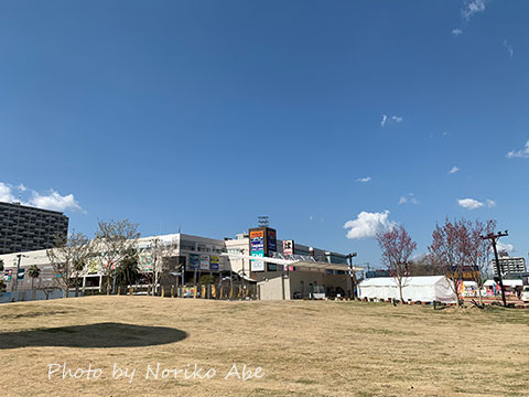 Img_4519