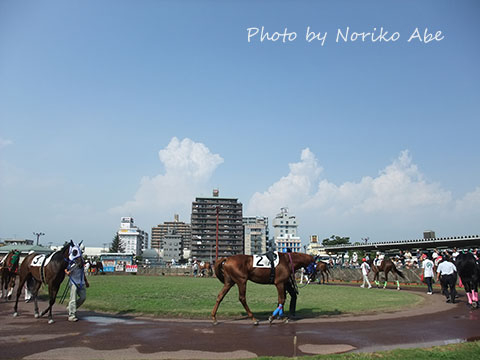 Dscf4162_2