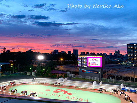 Img_3632edited Img_3632edited