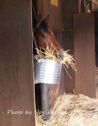 O0320042715579814248