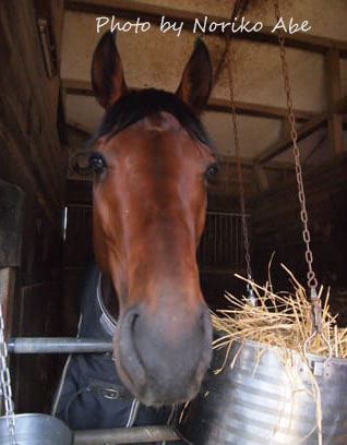 O0320042715579814251